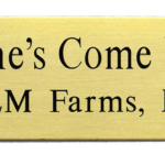 Large Screw-On Rectangular Stall Plate (2" x 8")